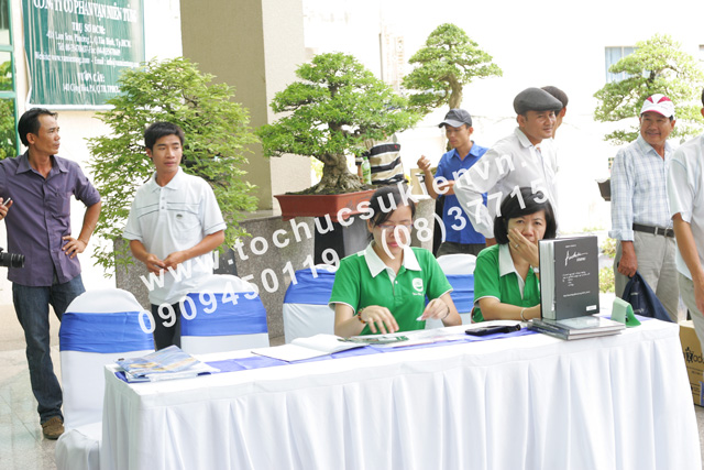 Tổ chức triển lãm Bonsai Việt Nam 9