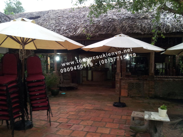 cho thuê dù cafe 6