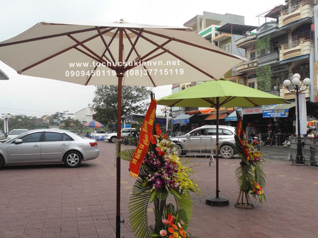 cho thuê dù cafe 11