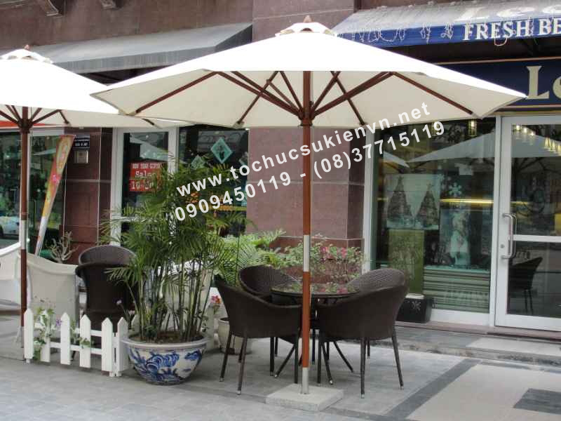 cho thuê dù che ngoài trời cho thuê dù che ngoài trời