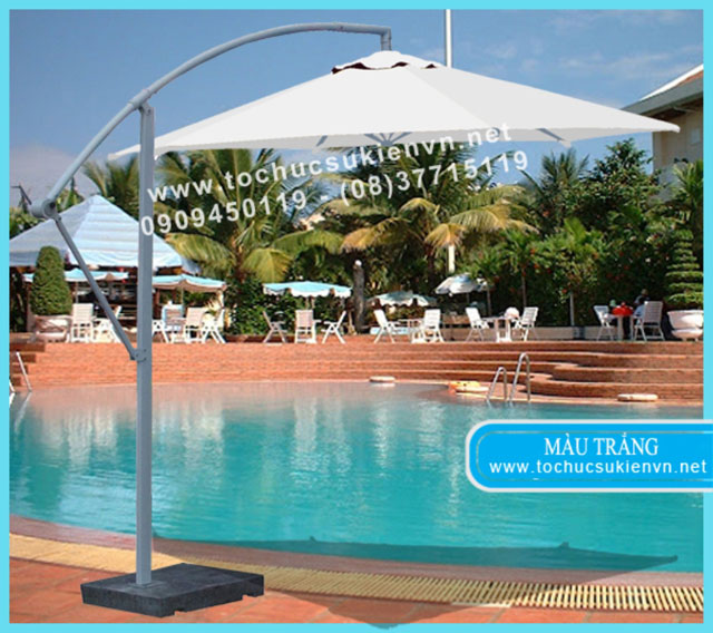 thuê dù lệch tâm 2 thuê dù lệch tâm 2