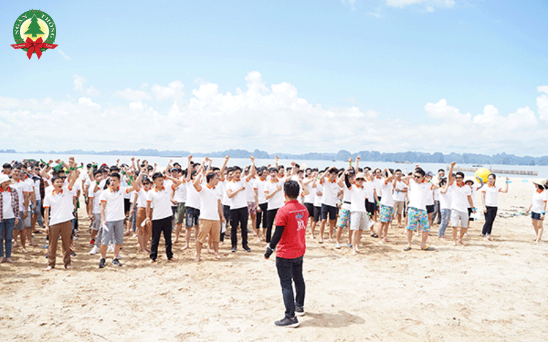 Kịch bản MC hoạt náo team building là gì?