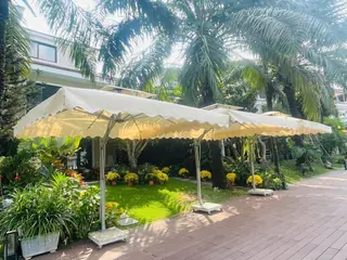 Dù lệch tâm