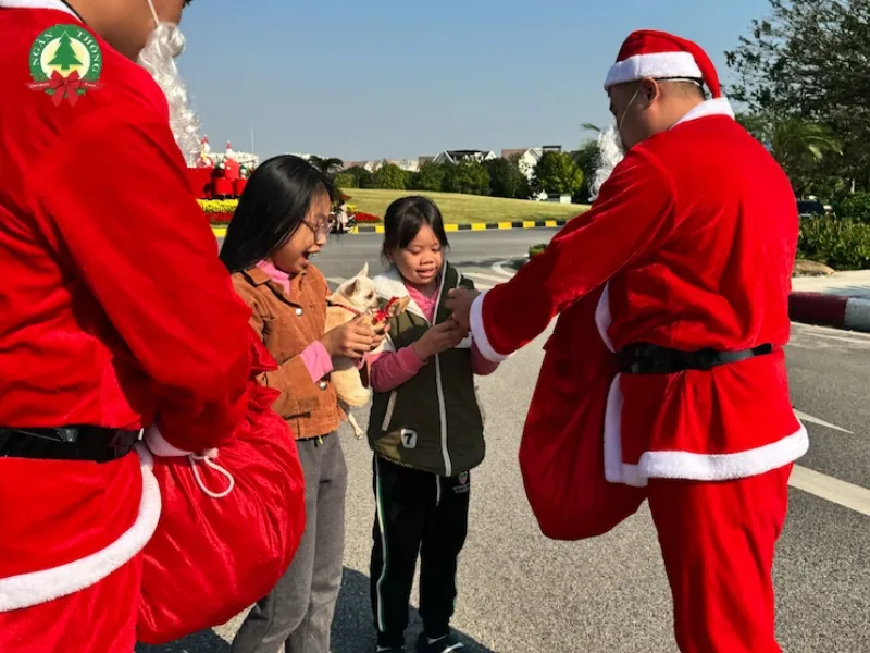 tổ chức roadshow noel