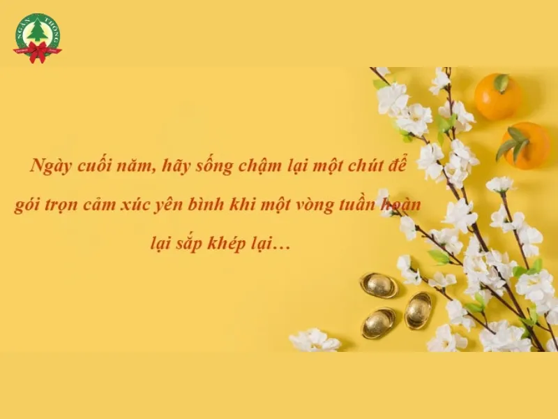 những câu nói hay về cuối năm