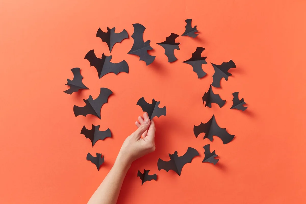concept halloween concept halloween